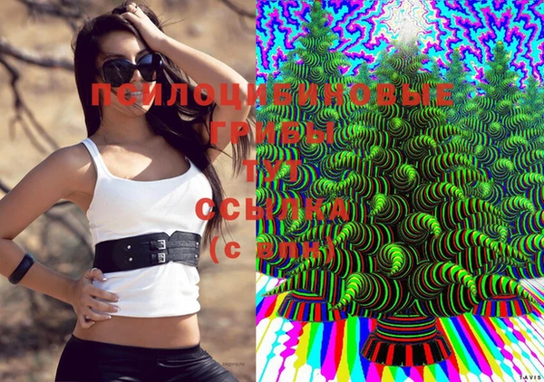 соль ск Алексин