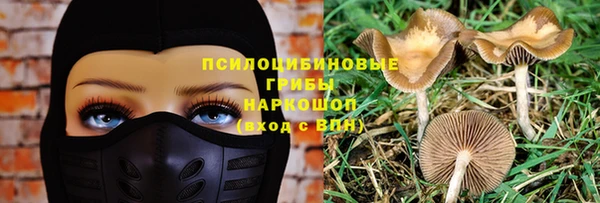 винт Алексеевка