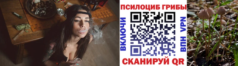 Галлюциногенные грибы Cubensis  где найти наркотики  Покачи 